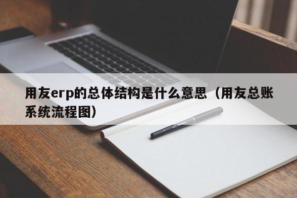 用友erp的总体结构是什么意思（用友总账系统流程图）