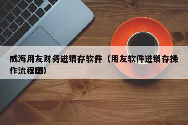 威海用友财务进销存软件（用友软件进销存操作流程图）