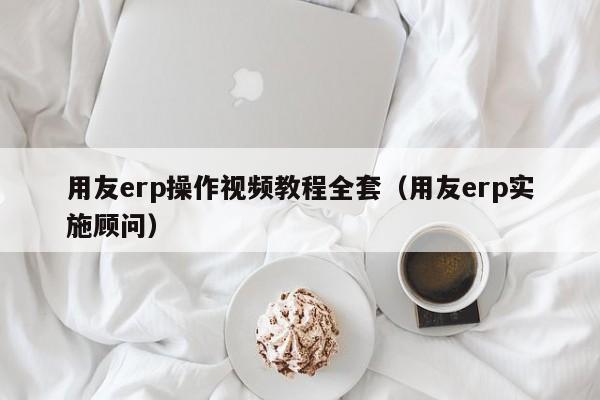 用友erp操作视频教程全套（用友erp实施顾问）