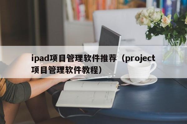 ipad项目管理软件推荐（project项目管理软件教程）