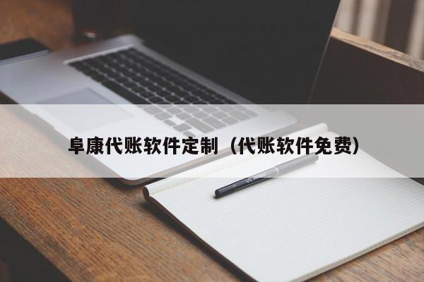 阜康代账软件定制（代账软件免费）