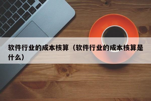 软件行业的成本核算（软件行业的成本核算是什么）