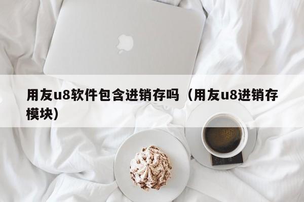 用友u8软件包含进销存吗（用友u8进销存模块）