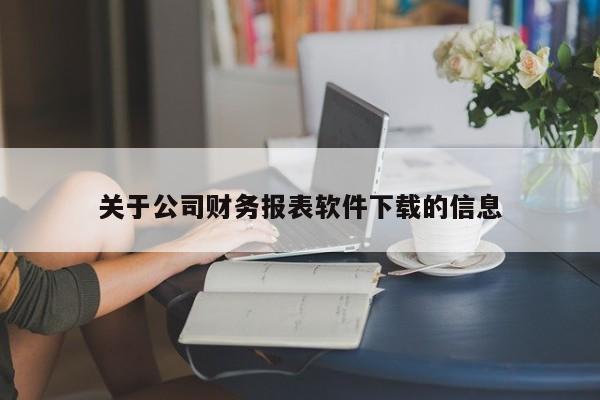 关于公司财务报表软件下载的信息