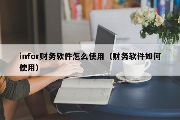 infor财务软件怎么使用（财务软件如何使用）