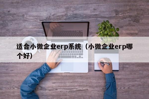 适合小微企业erp系统（小微企业erp哪个好）