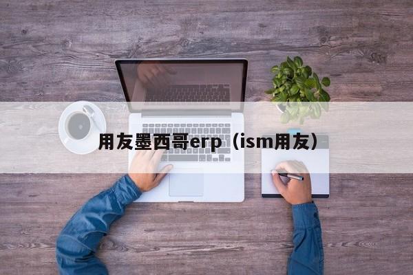 用友墨西哥erp（ism用友）