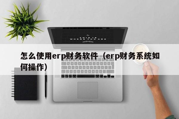 怎么使用erp财务软件（erp财务系统如何操作）