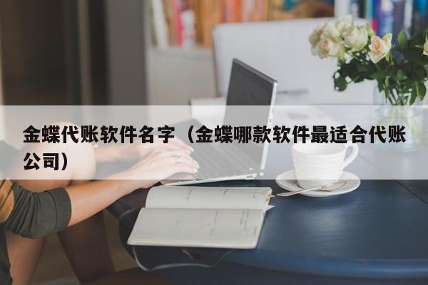 金蝶代账软件名字（金蝶哪款软件最适合代账公司）