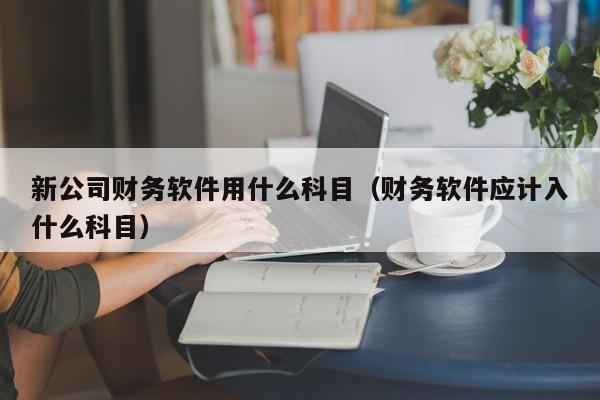 新公司财务软件用什么科目（财务软件应计入什么科目）