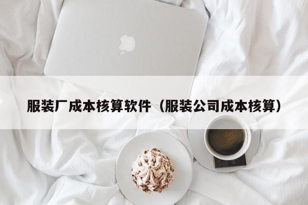 服装厂成本核算软件（服装公司成本核算）