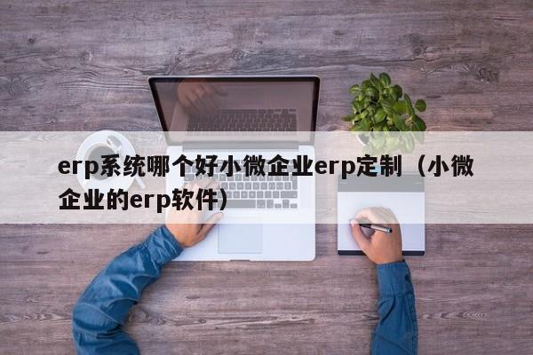 erp系统哪个好小微企业erp定制（小微企业的erp软件）