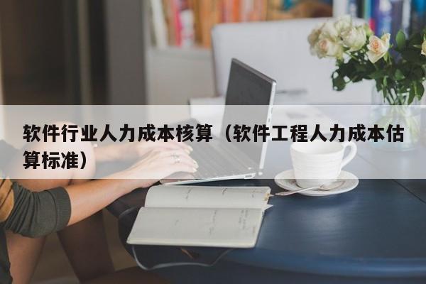 软件行业人力成本核算（软件工程人力成本估算标准）