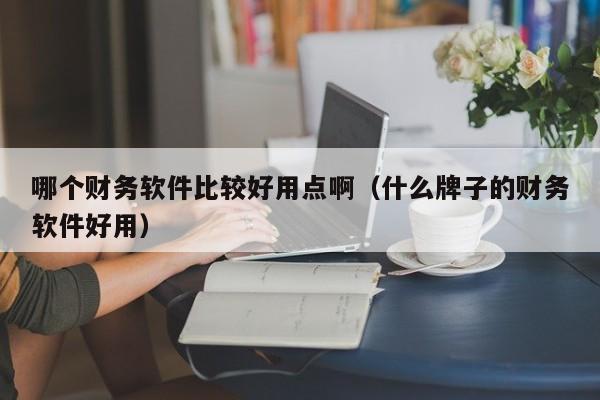 哪个财务软件比较好用点啊（什么牌子的财务软件好用）