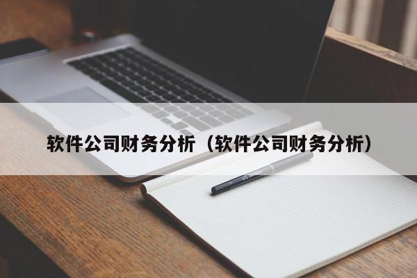 软件公司财务分析（软件公司财务分析）