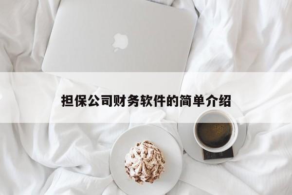 担保公司财务软件的简单介绍