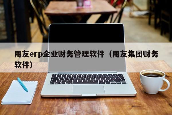 用友erp企业财务管理软件（用友集团财务软件）