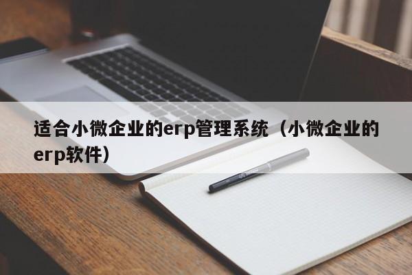 适合小微企业的erp管理系统（小微企业的erp软件）