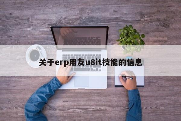 关于erp用友u8it技能的信息