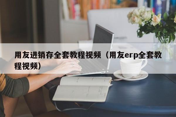 用友进销存全套教程视频（用友erp全套教程视频）