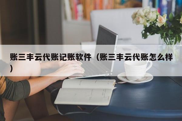 账三丰云代账记账软件（账三丰云代账怎么样）