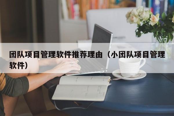 团队项目管理软件推荐理由（小团队项目管理软件）