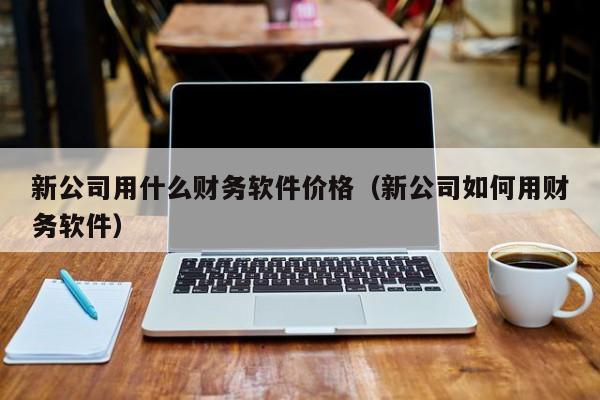 新公司用什么财务软件价格（新公司如何用财务软件）