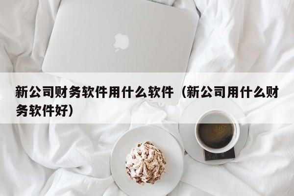 新公司财务软件用什么软件（新公司用什么财务软件好）