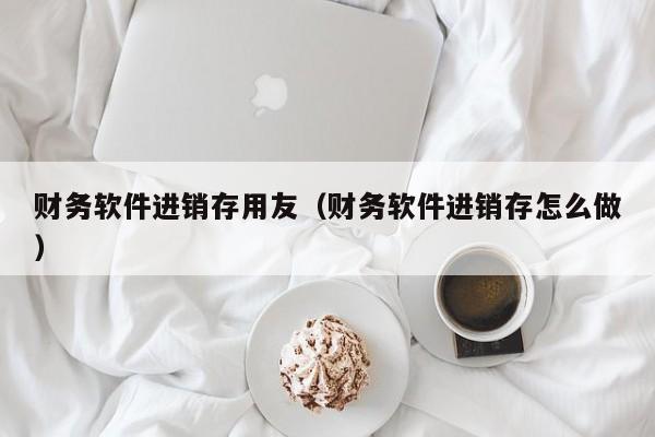 财务软件进销存用友（财务软件进销存怎么做）