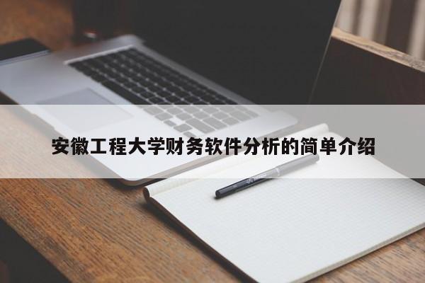 安徽工程大学财务软件分析的简单介绍