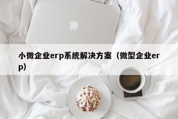 小微企业erp系统解决方案（微型企业erp）