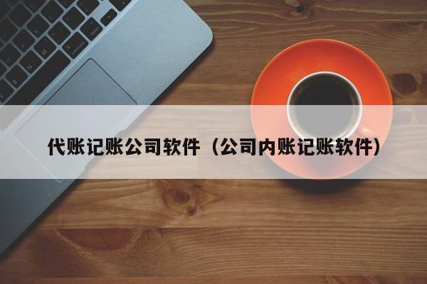 代账记账公司软件（公司内账记账软件）