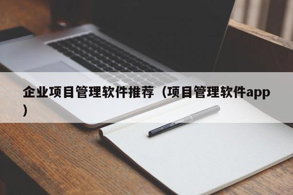 企业项目管理软件推荐（项目管理软件app）