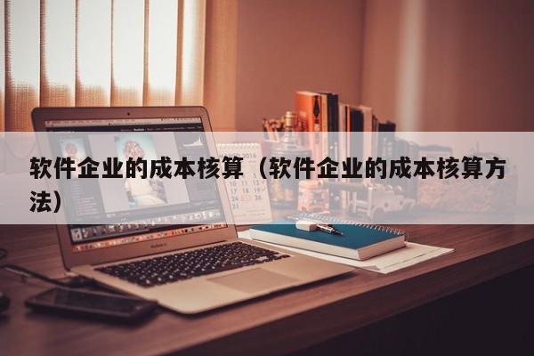 软件企业的成本核算（软件企业的成本核算方法）