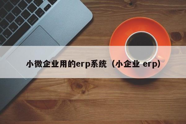 小微企业用的erp系统（小企业 erp）