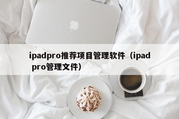 ipadpro推荐项目管理软件（ipad pro管理文件）