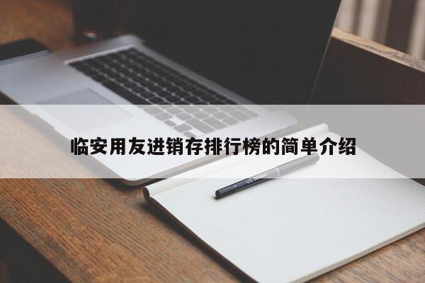 临安用友进销存排行榜的简单介绍