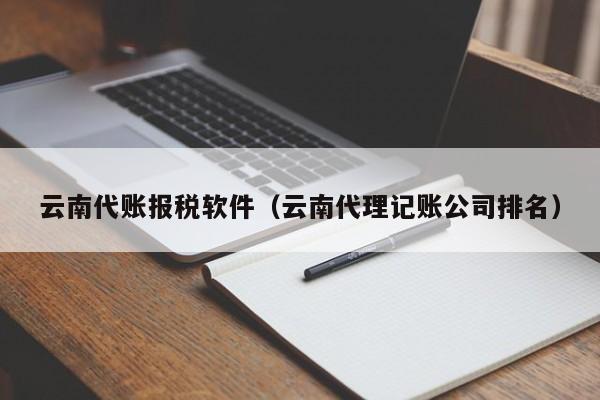 云南代账报税软件（云南代理记账公司排名）