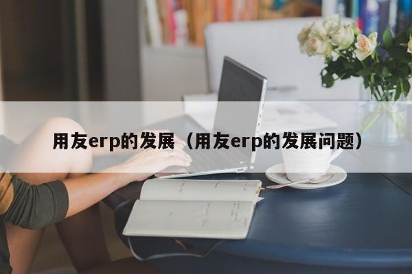 用友erp的发展（用友erp的发展问题）