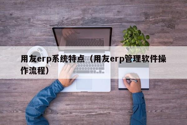 用友erp系统特点（用友erp管理软件操作流程）