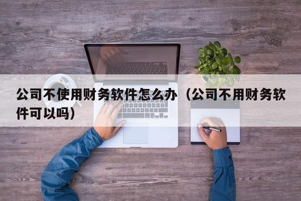 公司不使用财务软件怎么办（公司不用财务软件可以吗）