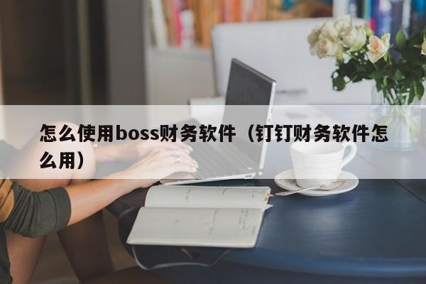 怎么使用boss财务软件（钉钉财务软件怎么用）