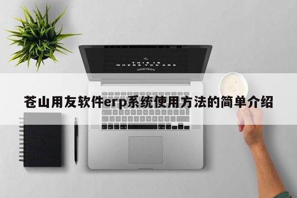 苍山用友软件erp系统使用方法的简单介绍