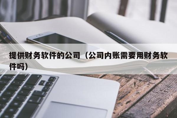 提供财务软件的公司（公司内账需要用财务软件吗）