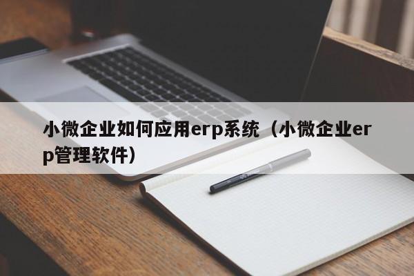 小微企业如何应用erp系统（小微企业erp管理软件）