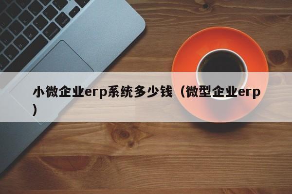 小微企业erp系统多少钱（微型企业erp）