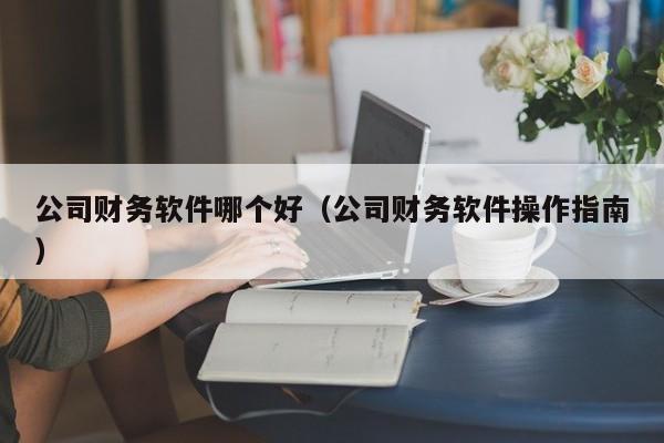 公司财务软件哪个好（公司财务软件操作指南）