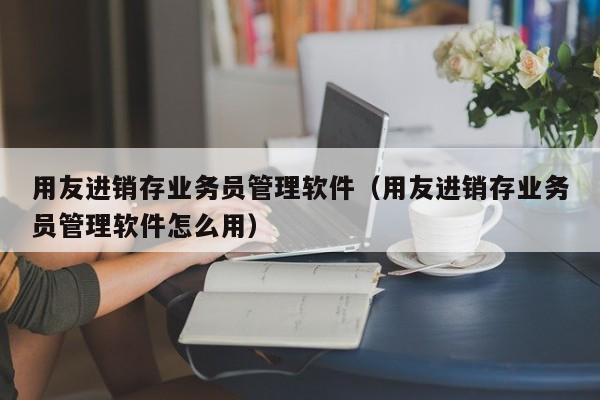 用友进销存业务员管理软件（用友进销存业务员管理软件怎么用）