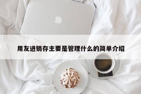 用友进销存主要是管理什么的简单介绍