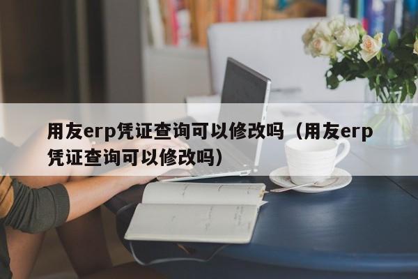 用友erp凭证查询可以修改吗（用友erp凭证查询可以修改吗）